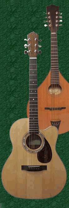 Makers & repairers of Fine Classic and Steel String Guitars